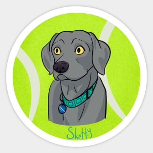 Tennis Ball Boy Sticker